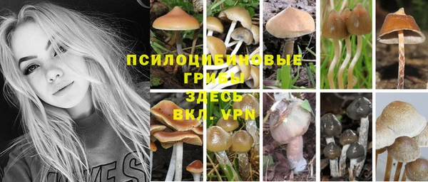мдпв Абаза