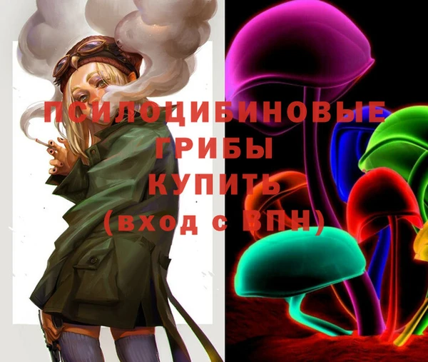 мдпв Абаза