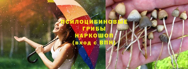 мдпв Абаза