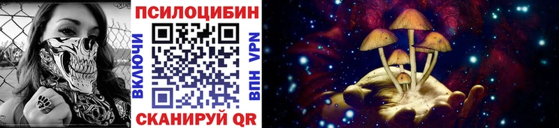 Галлюциногенные грибы Cubensis  Вышний Волочёк 